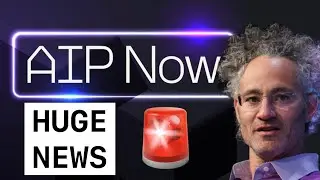 Palantir GAMECHANGING Announcement: AIP Now! Just The Beginning