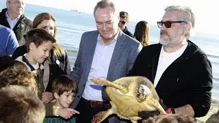 Alberto Fabra asiste a la VII liberación navideña de tortugas marinas