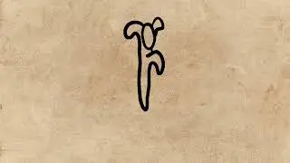 Random Animation practice
