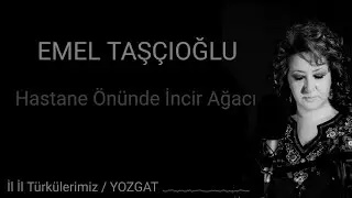 Emel Taşçıoğlu - Hastane Önünde İncir Ağacı