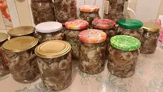 Пальчики оближете👍Супер -рецепт маринованных опят💯