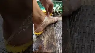 #pineapple