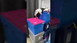 Устраняют конкурентов OZON ПВЗ. 