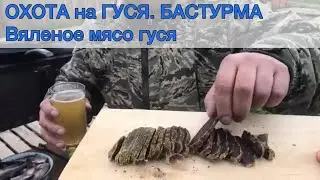 ОХОТА на ГУСЯ. Вяленое мясо гуся. БАСТУРМА