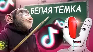 TIKTOK PEOPLE WILL TEACH YOU HOW TO MAKE MONEY!