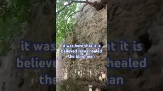 You’ll have to see this Biblical pool 