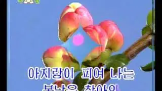 DPRK Music 9-12 꽃피는 이 봄날에