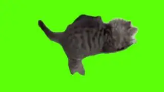 green screen cute cat cosplay dinosaur