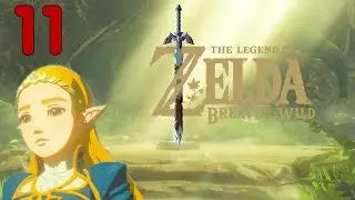 Shield Surfing | Nintendo Switch | Zelda BotW Part 11