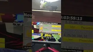 DIA 2 ATÉ VIR KITSUNE NA LOJA!! MEU DEUS!!! 