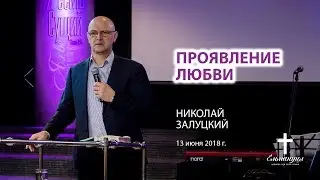 Проявление любви | Николай Залуцкий