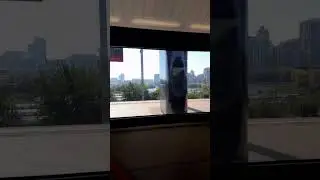 ласточка Москва