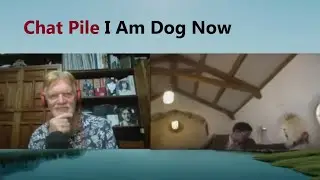 Senior reacts to Chat Pile 