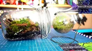 ¡Terrario Eterno: Hazlo en un Frasco y Sorpréndete cómo el del Foco Sigue Vivo! (NQUEH)
