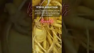 5 Amazing Ginseng Health Benefits and Uses