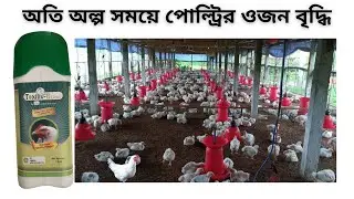 Toxiliv B Gold Growth Promoter | Agriculture Tour