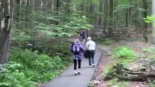 Góry Świętokrzyskie. Szlak na Łysicę,