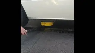 Cleaning underbody ready for lanoguard
