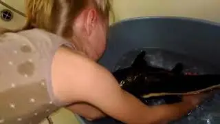 Прикол Домашняя рыбалка на сома жесть