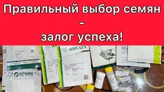 Правильный выбор семян - залог успеха!