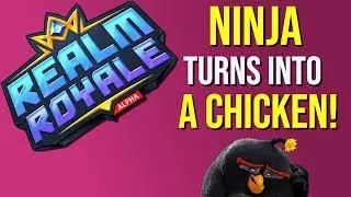 Ninja turns into a chicken! - Paladins Realm Royale Highlights (Daily Realm Royale Highlights)