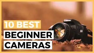 Best Beginners Cameras in 2024 - How to Choose a Camera?