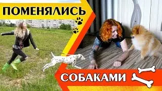 ПОМЕНЯТЬСЯ СОБАКАМИ | KURAGA