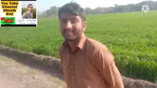 آج کی وڈیو  بہت ہی مزے دار ہونے والی ہیں