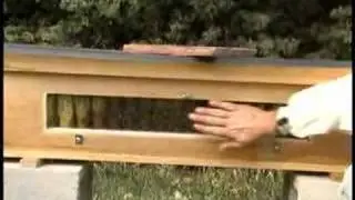 Bees Brood Nest Top Bar Hive