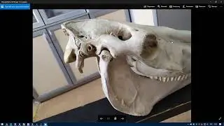 photogrammetry basic lessons