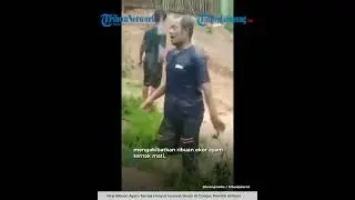 AYAM TERNAK HANYUT TERSERET BANJIR DI CIANJUR