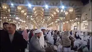 مدینہ منورہ میں زیارت #shortvideo #viral #status #shorts
