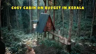 Magical Cabin stay in Wayanad, Kerala