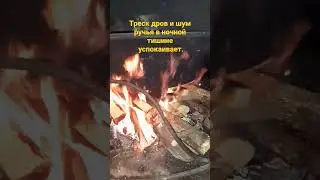 Треск дров и шум ручья в ночной тишине успокаивает. #баня#сочи#идущийбанщик