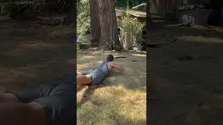 Trick-shot Thursday August 1st 2024