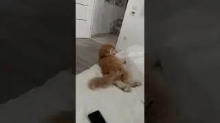 Катрусин кинозал 😻🤣 
