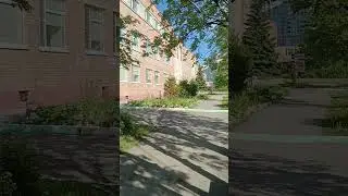 Операция назначена на сегодня 🙏 #shorts