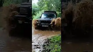 Minneriya National Park Safari Jeep 🚙🇱🇰🙉 