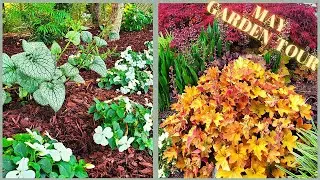 Late May 2021 Garden Tour | Zone 7a Garden Tour