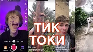 ДИПИНС СМОТРИТ ТИК ТОК!