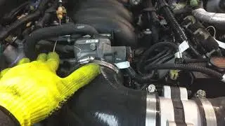 The sound of the LS1