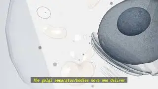 Note the Organelles - So, What Do You Know Now? S1 E1