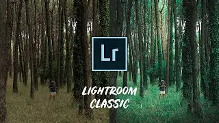 Cómo EDITAR FOTOS en LIGHTROOM