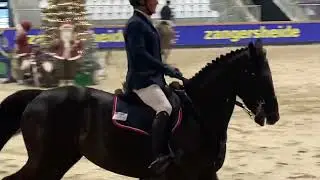 Kto Terminator - mare, 2017, by Dominator Z x Cicero Z, CSIYH Opglabbeek - 5th place