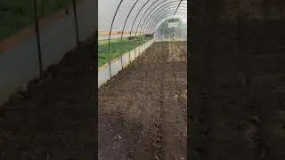 Начинаю новый клубничный сезон #Shorts