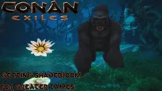 Into The Midnight Grove Nightmare! Conan Exiles Part 7