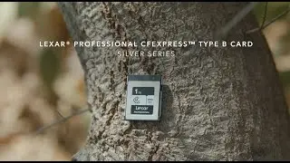 Lexar® Professional CFexpress™ Type B Card SILVER Series