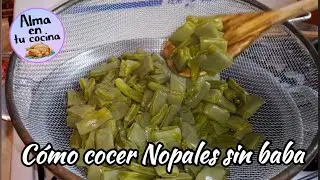 NOPALES SIN BABA