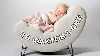 10 ФАКТОВ о СНЕ
