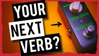Is This Your Next Reverb? - Sonicake Digital Reverb - No Talk, All Tone